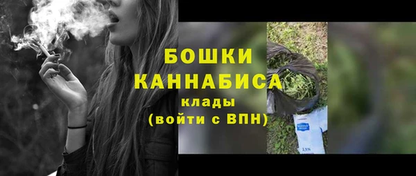 скорость Болотное