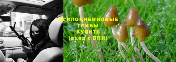mdpv Магадан
