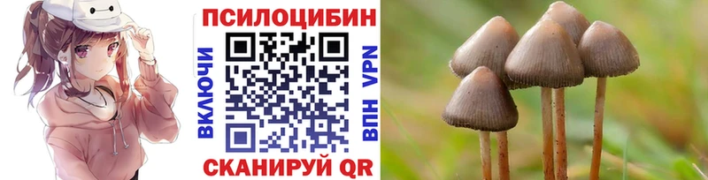 Псилоцибиновые грибы Psilocybine cubensis  сколько стоит  Медногорск 