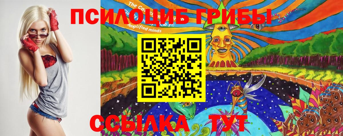 Псилоцибиновые грибы Cubensis  Медногорск 