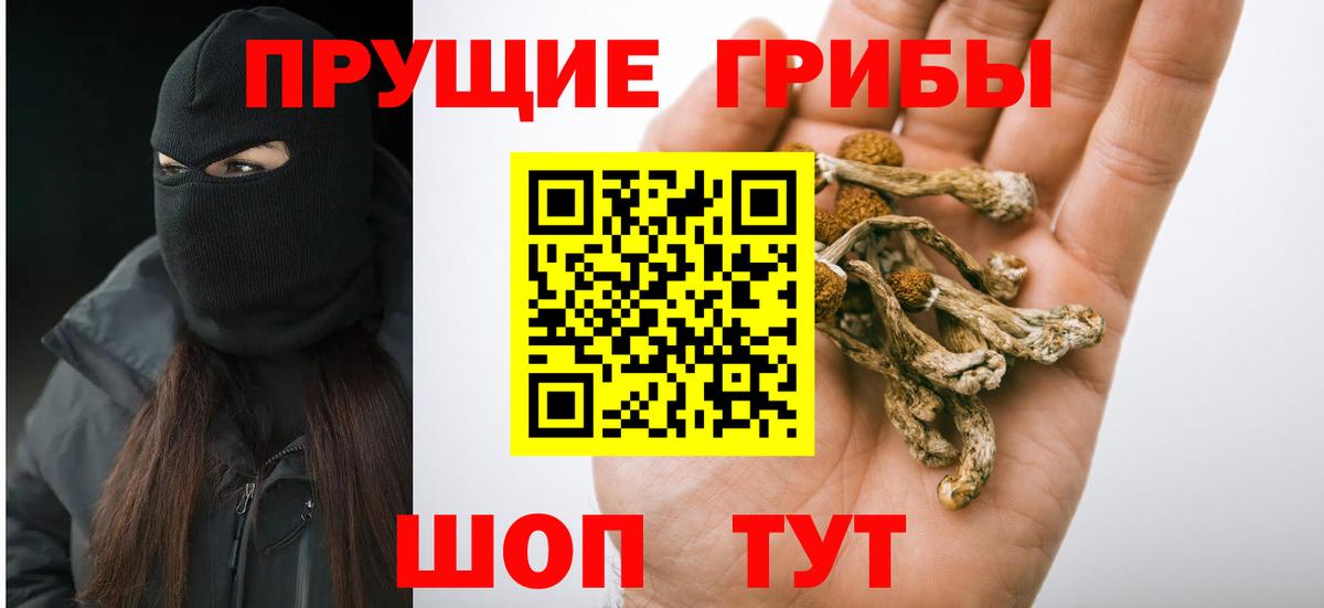 Медногорск  Галлюциногенные грибы мицелий  Вход с VPN  Галлюциногенные грибы Psilocybine cubensis 