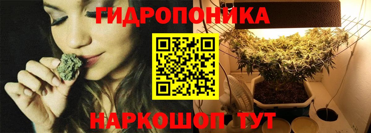 Канабис план  МАРИХУАНА VHQ  Медногорск  Канабис сатива 